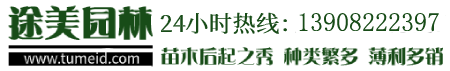 廣東森拉堡家具有限公司